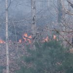 Brush fire threatens homes in Kanawha County