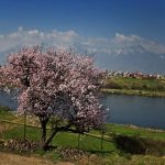 MeT Predicts Dry, Clear Weather Till April 6th in Kashmir