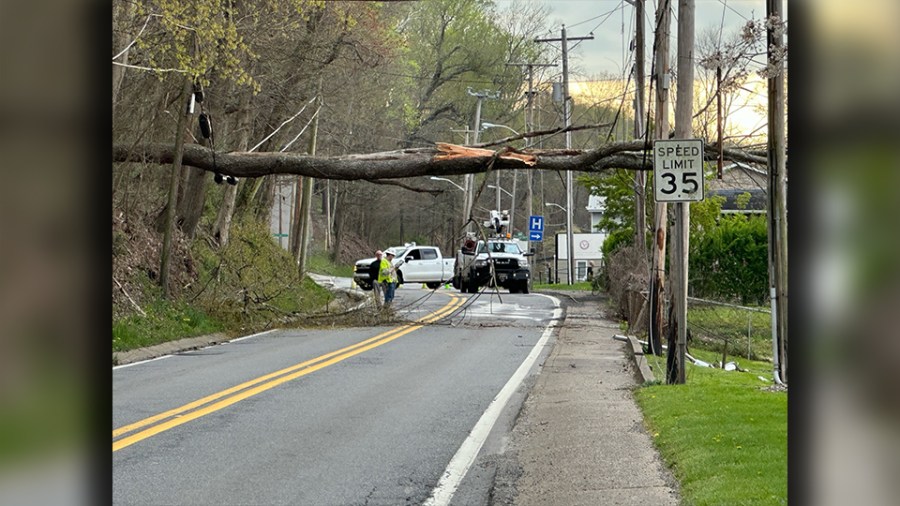 A tree fell across the Kanawha Turnpike in South Charleston Monday, April 8, taking down some power lines. (Photo Credit: WOWK 13 News Photographer Adam Stephens)